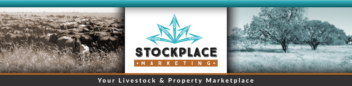 Welcome to Stockplace Marketing you livestock & property marketplace