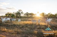 ValleyOfLagoons_0025__BUD6449