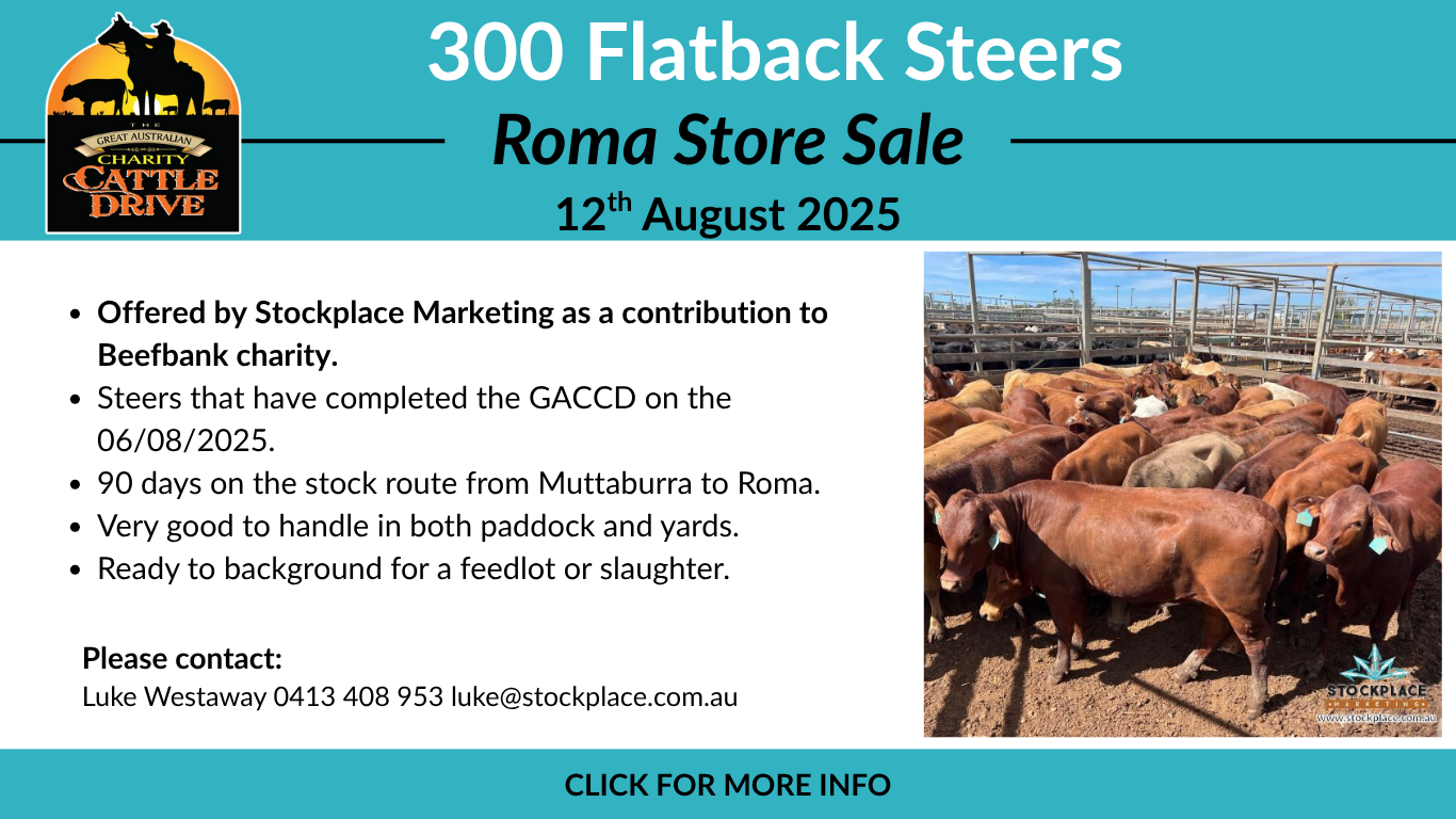 Roma Store Sale 1