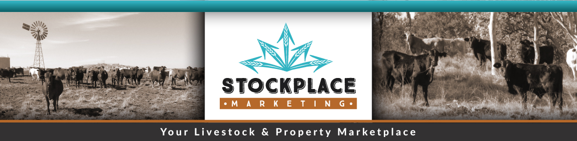 Stockplace Marketing Livestock for sale & wanted