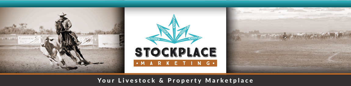 Stockplace Marketing New and current affairs