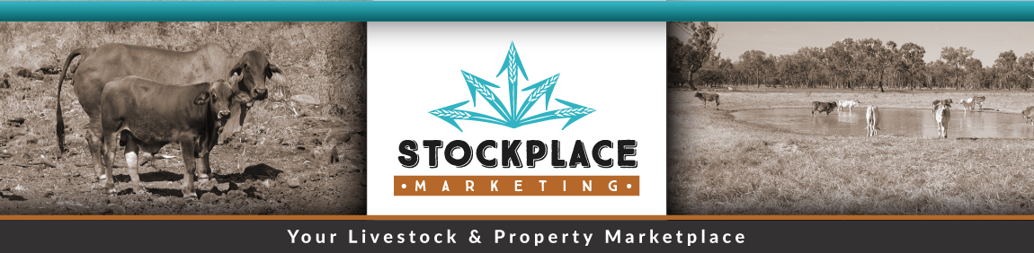 Stock wanted Stockplace Marketing