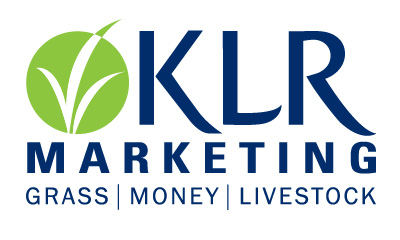 KLR Marketing